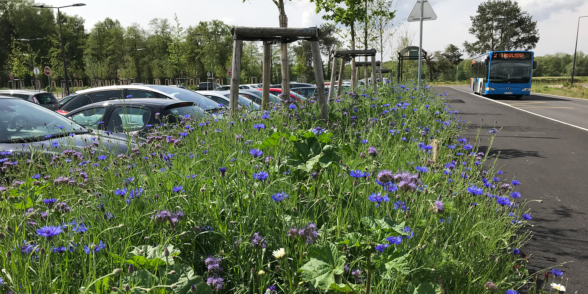 parking fleuri