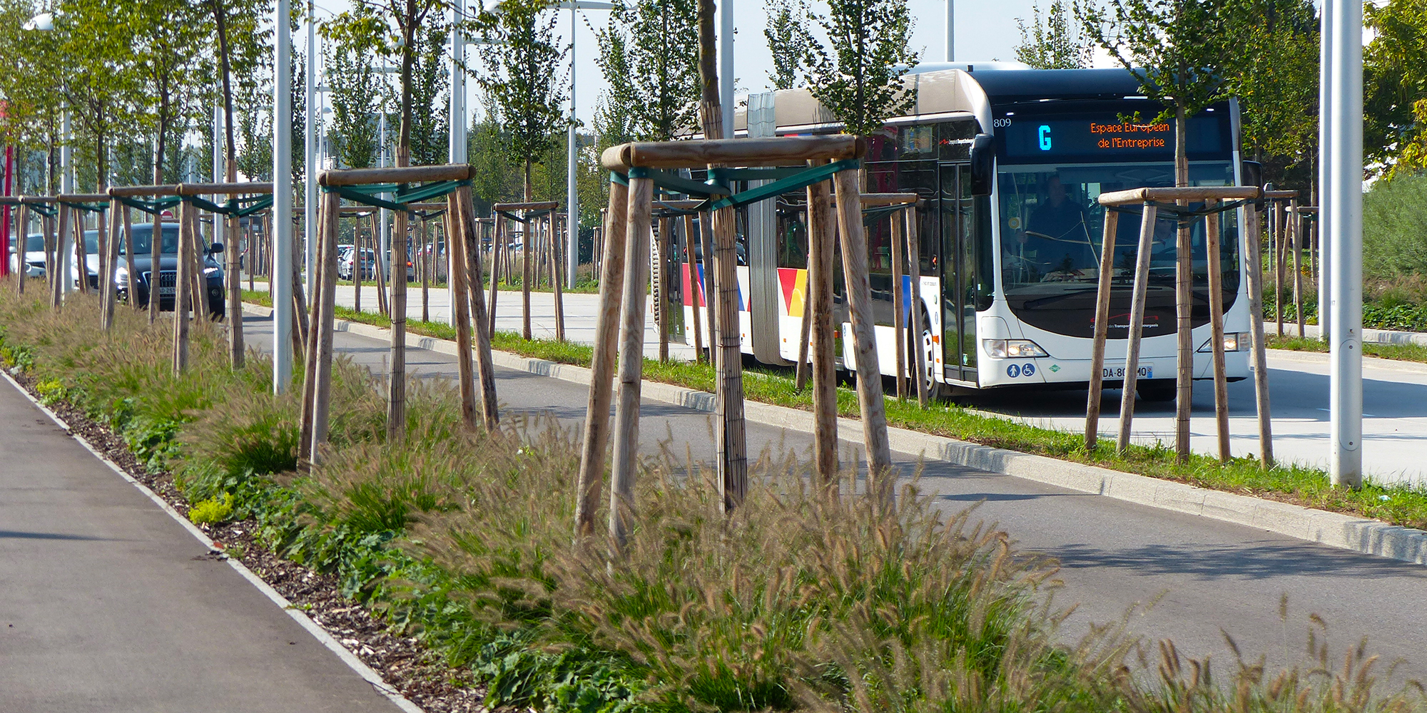 bus derrière végétation