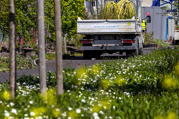 camion Thierry Muller avec des fleurs