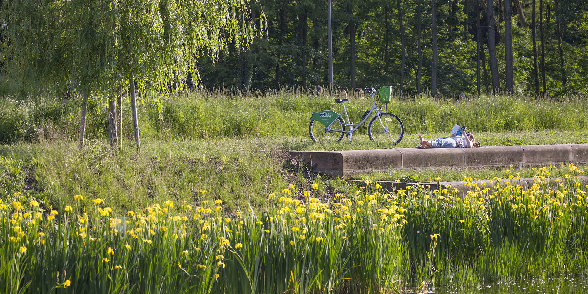 Parc du Heyritz