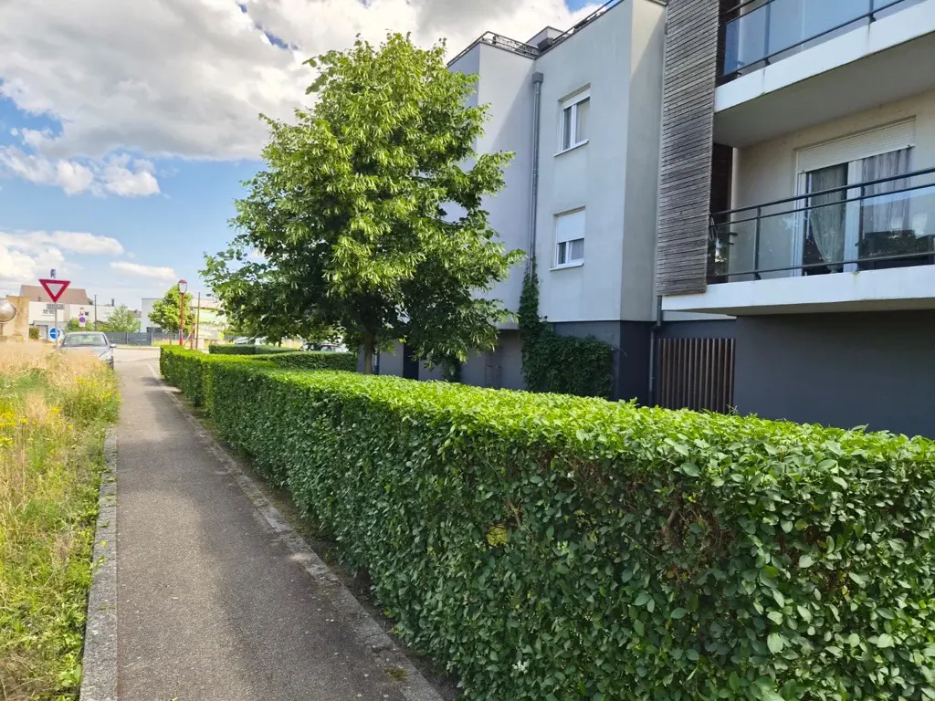 Haie de copropriété taillée le long d'une voirie dans le Bas-Rhin, entretien espaces verts professionnel en Alsace